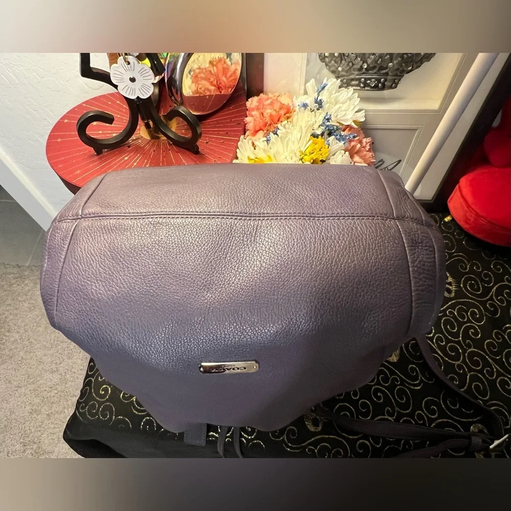 Coach 2013 Avery Purple Gray Leather Bucket Crossbody Bag